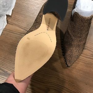 gianni bini daveigh cheetah